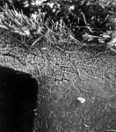 Resin Component _3F.jpg